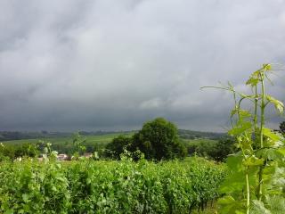 Avant la pluie...
