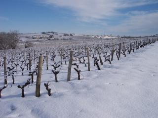 Sous la neige