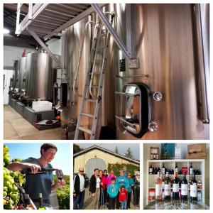 Domaine de Gingeau
